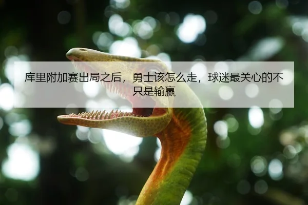 库里附加赛出局之后，勇士该怎么走，球迷最关心的不只是输赢